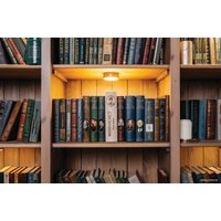 Сейф-книга BRAUBERG Финансист в Гомеле