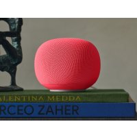 Умная колонка Google Home Speaker (ягода)