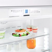 Холодильник Liebherr ECBN 6256