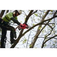 Аккумуляторная пила Milwaukee M18 FHS20-552 4933480118 (с 2-мя АКБ)