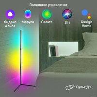 Торшер Digma FloorLight FL11