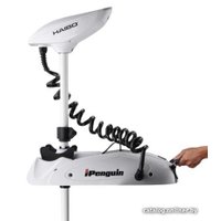Лодочный мотор Haibo iPenguin P65 12V Pro