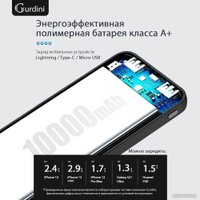 Внешний аккумулятор Gurdini Slim Series GPSS-0010B 10000mAh