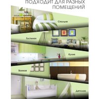 Краска Palizh Акриловая интерьерная моющаяся 0.2 кг (зеленый чай)