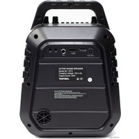 Беспроводная колонка Tonsil ZP 8 (с микрофоном) в Гомеле