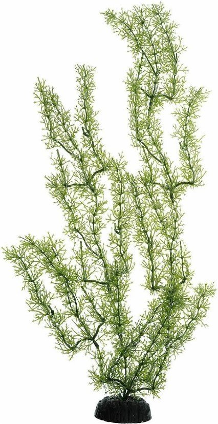 

Искусственное растение Barbus Яванский мох Plant 024/30 (зеленый)