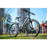 Велосипед Nialanti Slash MD 29 р.21 (бронзовый, разобранный)