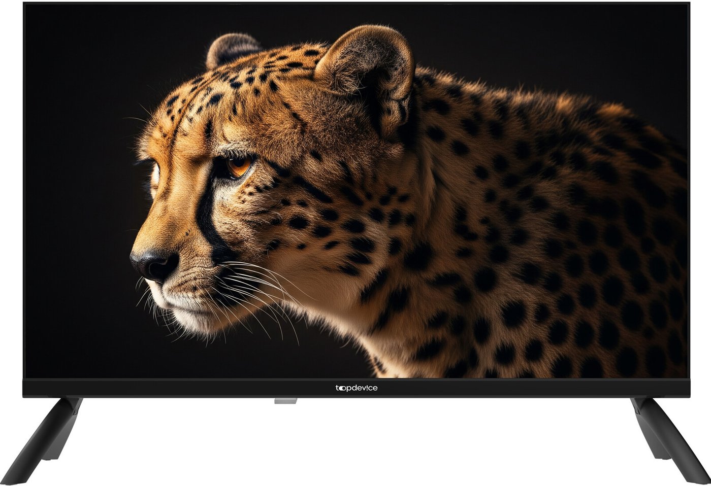 

Телевизор Topdevice 24" WILDRED TDWC24BH2210I