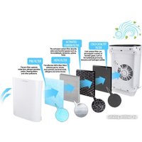 Очиститель воздуха Esperanza Bora EHP003