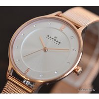 Наручные часы Skagen SKW2151