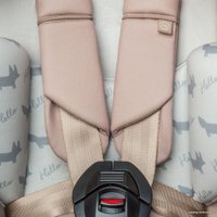 Детское автокресло Happy Baby Passenger V2 (серый)