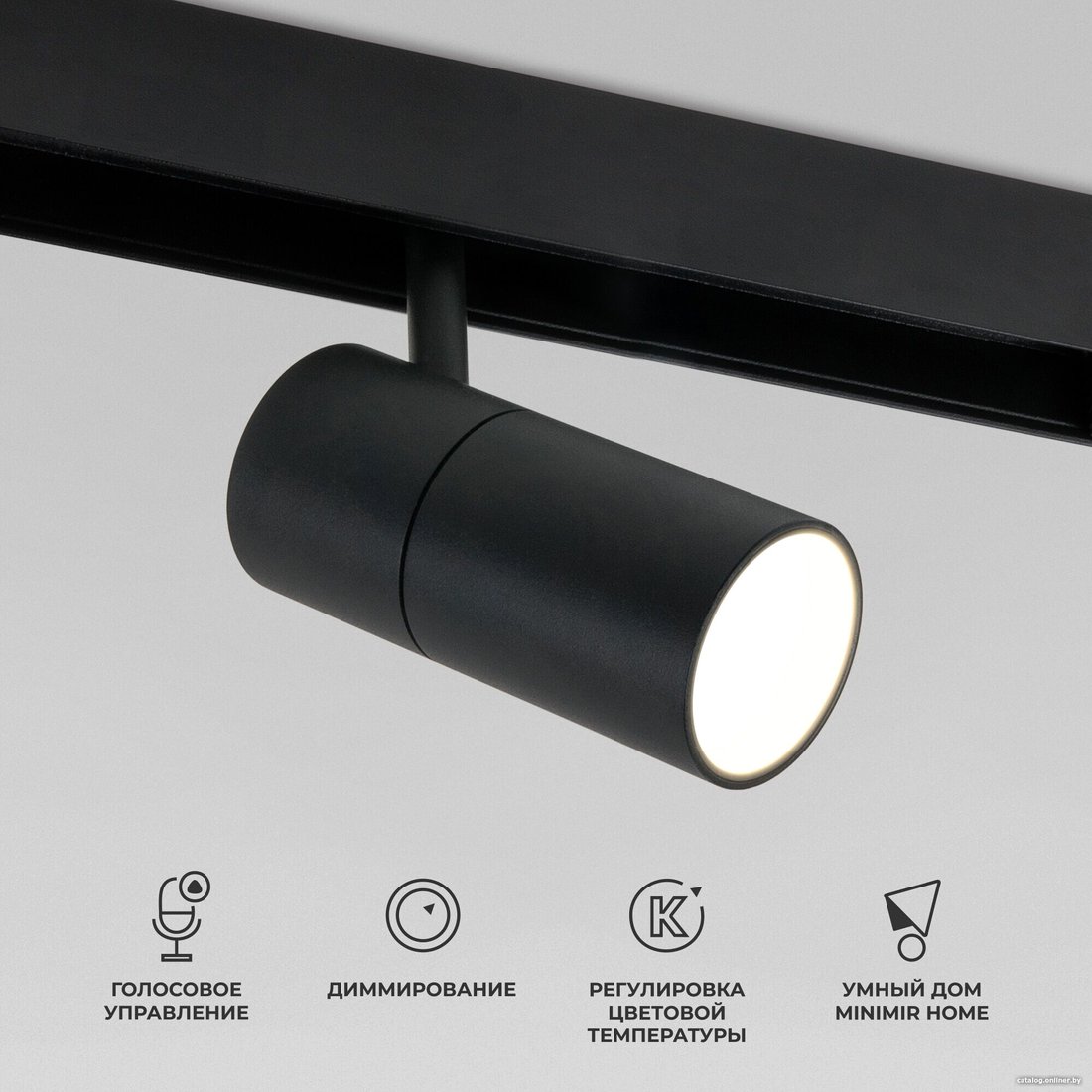 Трековый светильник Elektrostandard Dim R02 85075/01 12W 2700-6500K (черный)