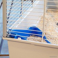 Клетка Ferplast Furet Tower 57063414