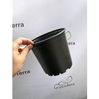 Кассета/горшок для рассады GreenTerra 15x13.5 см (1.8 л, 100 шт)