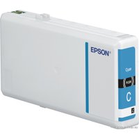 Картридж Epson C13T79024010