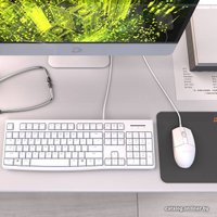 Офисный набор Dareu MK185 (белый)