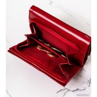 Кошелек Cedar 4U Cavaldi 247-GCL (красный)