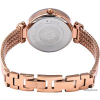 Наручные часы Anne Klein 1906LBRG