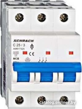 Выключатель автоматический Schrack Technik AM617325