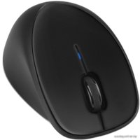 Мышь HP Comfort Grip Wireless Mouse (H2L63AA)