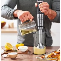 Погружной блендер Bosch MaxoMixx MS8CM61V1