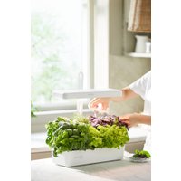 Умный сад CACTUS CS-LEDPOT-10