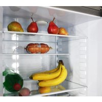 Холодильник Орск 173 B (белый)