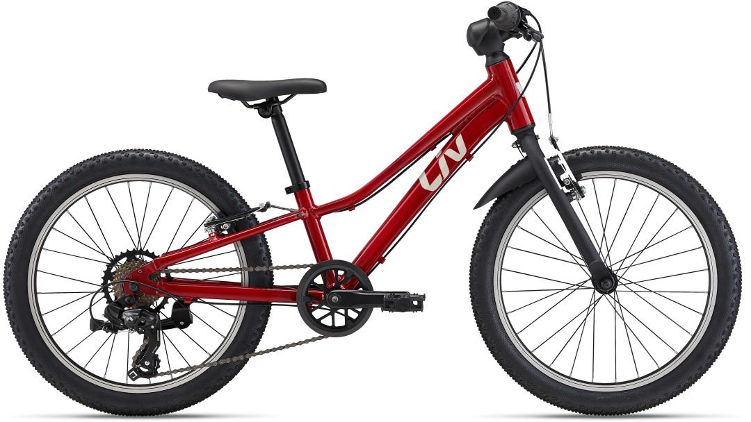 

Детский велосипед Giant Tempt 20" Lite (dried chilli)