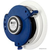  KEF Ci160CR в Бресте