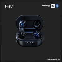 Наушники FiiO FW1