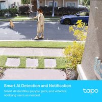 IP-камера TP-Link Tapo C420S1