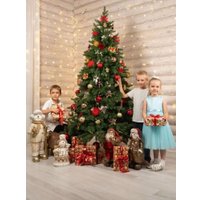 Елка National Tree Company Ариадна АРД-210 (210см)