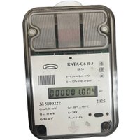 Счетчик газа БелОМО КАТА - G6 R-3