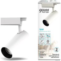 Трековый светильник Gauss TR066