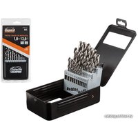 Набор сверл Gepard GP0301-25