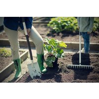 Лопата штыковая остроконечная Fiskars Light 1019605