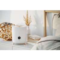 Увлажнитель воздуха Adler AD 7972 (белый)