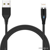 Кабель Jet.A JA-DC48 1 м (черный)