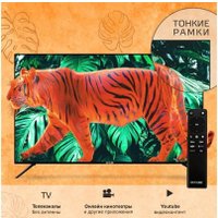 Телевизор Skyline 43LST6385 в Пинске