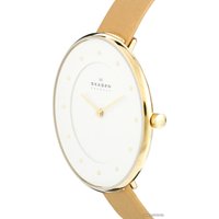Наручные часы Skagen SKW2137 в Пинске