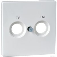 Накладка для TV розетки Schneider Electric Merten System M MTN299719