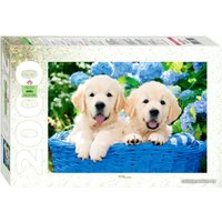 Пазл Step Puzzle Щенята в корзине