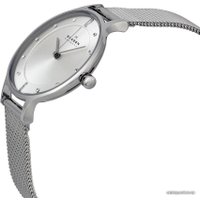 Наручные часы Skagen SKW2149