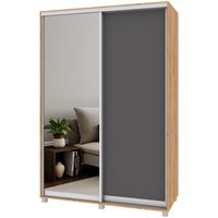 Шкаф-купе Modern Роланд Р652 (золотой дуб/графит)