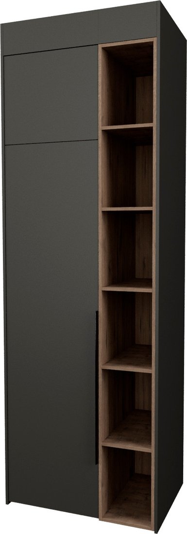 

Шкаф распашной Рэйгрупп Рэй S262-B1-WKW В1 (дуб веллингтон/кобальт)