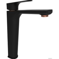 Смеситель Rubineta Modena-18/D (BK/RG) MDD00638