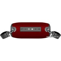 Беспроводная колонка Jet.A PBS-100 (красный)