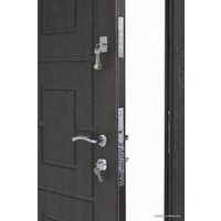 Металлическая дверь Steel Design Prestige 1