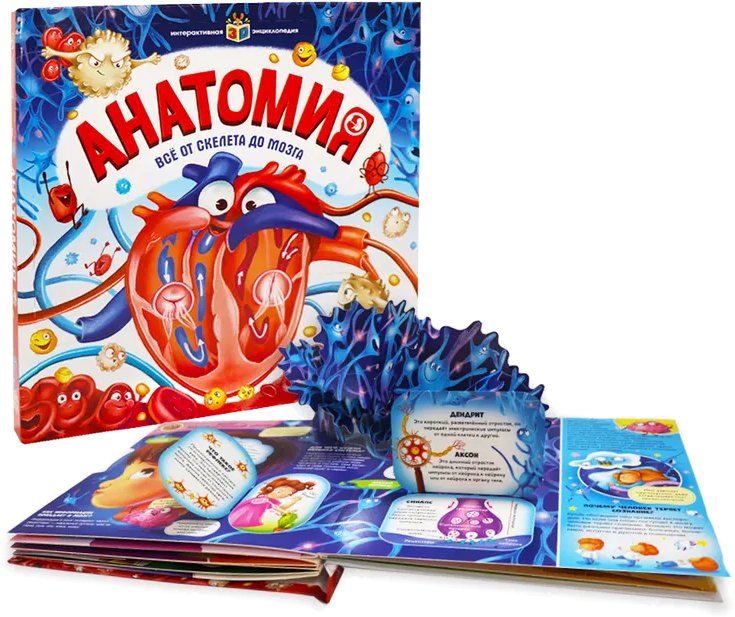 

Энциклопедия издательства Malamalama Интерактивная энциклопедия. Анатомия 9785001345848