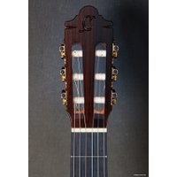 Акустическая гитара Camps SP-6-S